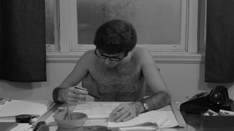 Un Succes Commercial (1970)