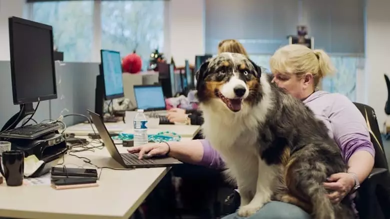 De Kantoorhond (2023)