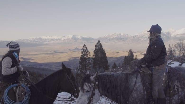Bitterbrush (2022)