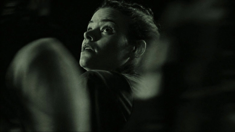 Transeuntes (2015)