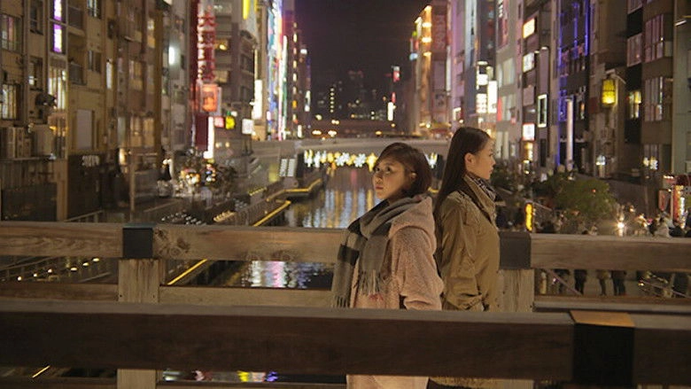 Fly Me To Minami (2013)