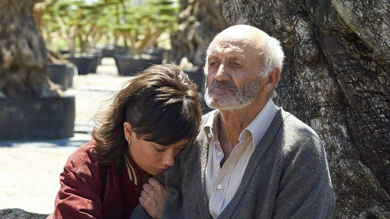 The Olive Tree (2016)