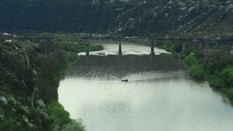 The Ferry Flows (2026)