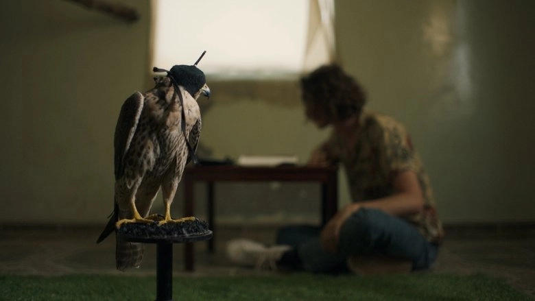 The Falconer (2020)