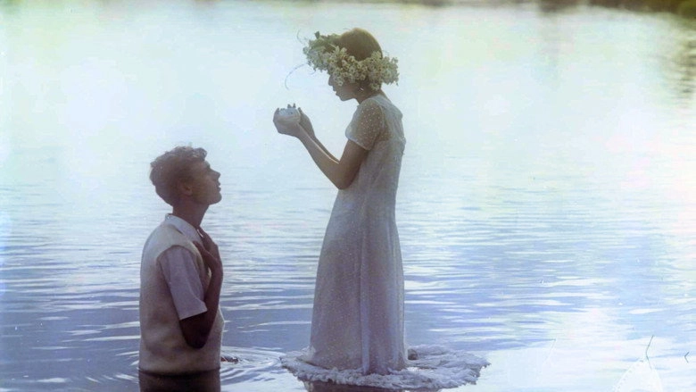 Chronicle Of Amorous Accidents (1986)