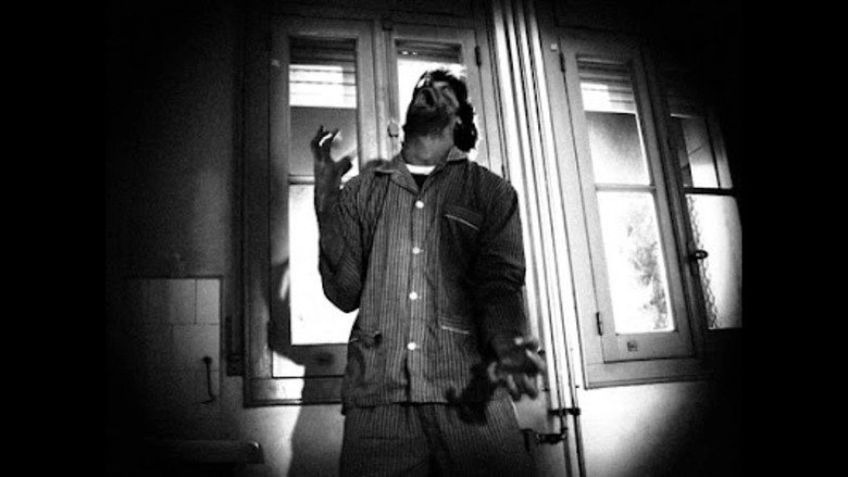 Sucesion (2007)