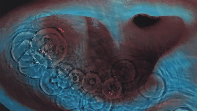 Meddle (2024)