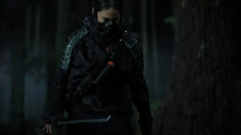 The Shadow Strays (2024)