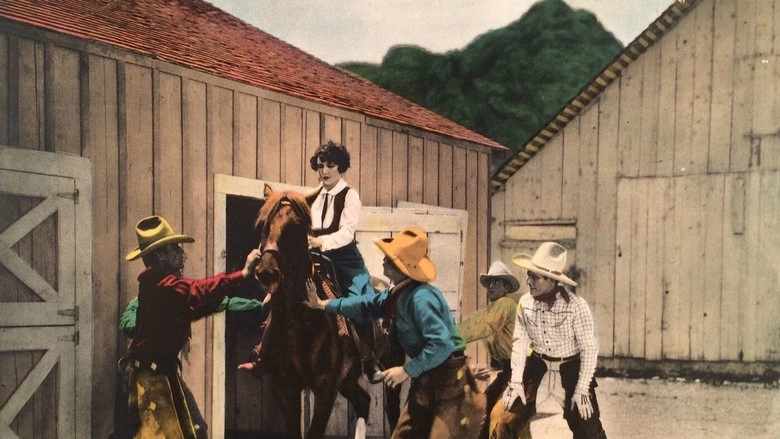 The Arizona Wildcat (1927)