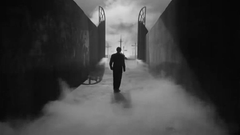 Retorno A La Juventud (1954)