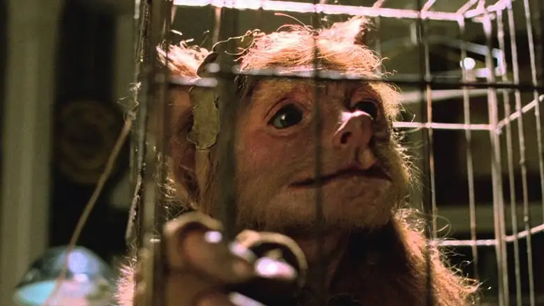 A Gnome Named Gnorm (1992)