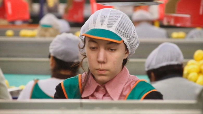 The Girl In The Lemon Factory (2013)