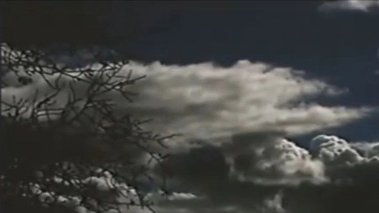 The Field Is White (2002)