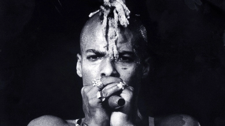 Everyday Sunshine: The Story Of Fishbone (2011)
