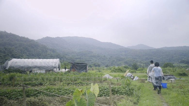 The Cow Caretaker (2015)