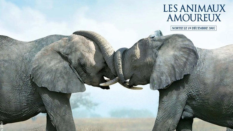 Les Animaux Amoureux (2007)