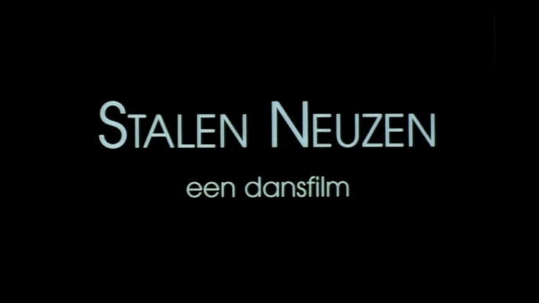Stalen Neuzen (1996)