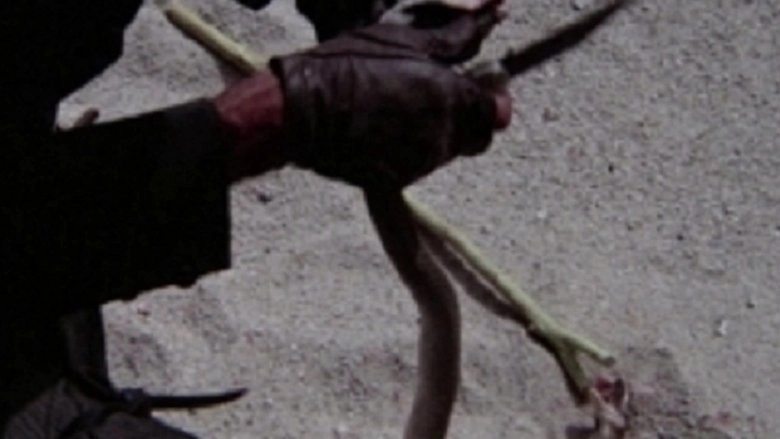 Hot Snake (1978)