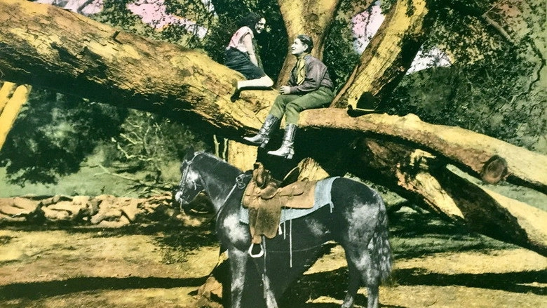 The Wild Girl (1925)