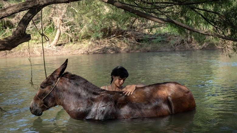 La Arriera (2025)