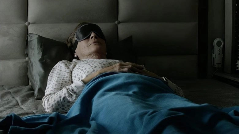 The Quiet Roar (2014)