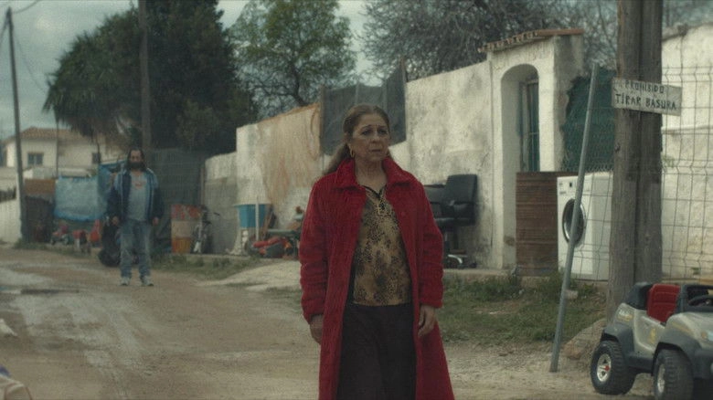 Mallorca Confidencial (2026)