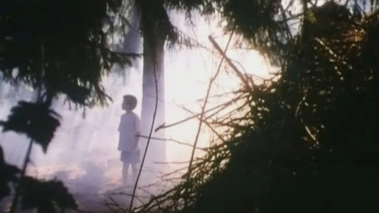 Svampe (1990)