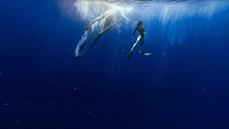 Le Souffle De Vie (2026)