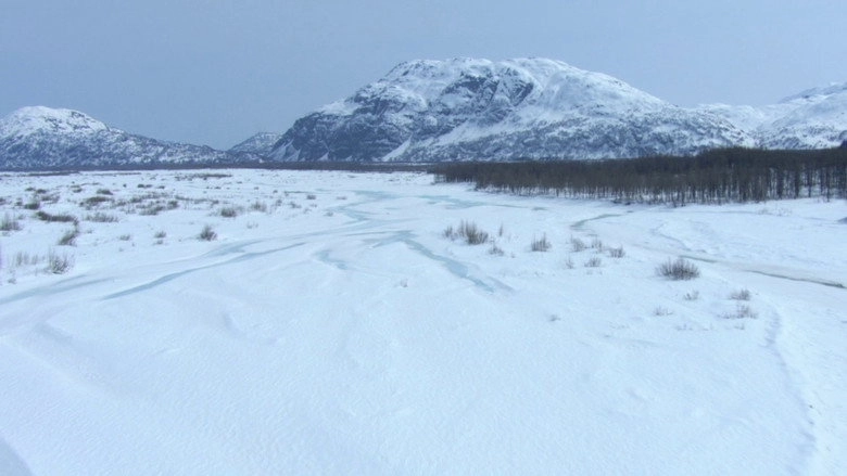 Snow Babies (2012)