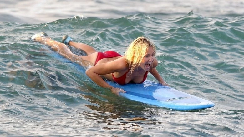 Flirting With Forty (2008)