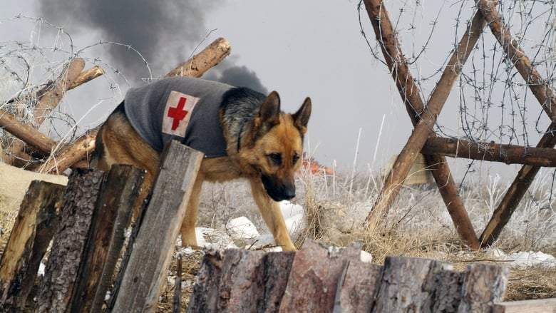 Finding Rin Tin Tin (2007)