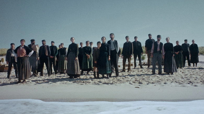 Trial Of Hein (2026)