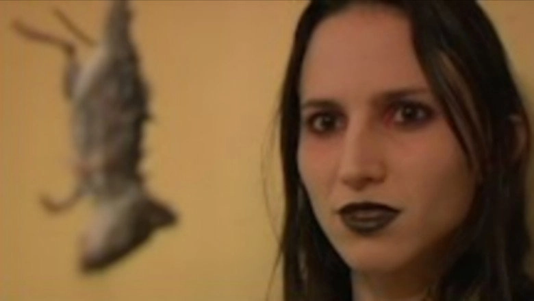 Almost Invisible (2010)
