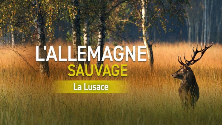Wild Germany: Exploring Lusatia (2013)