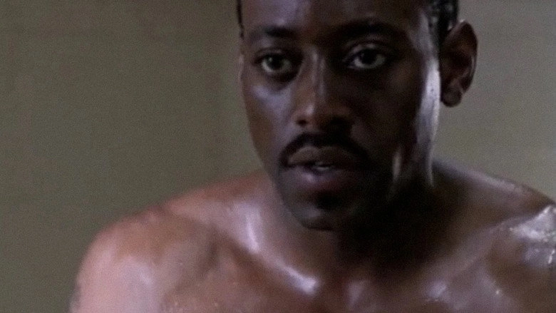 Conviction (2002)