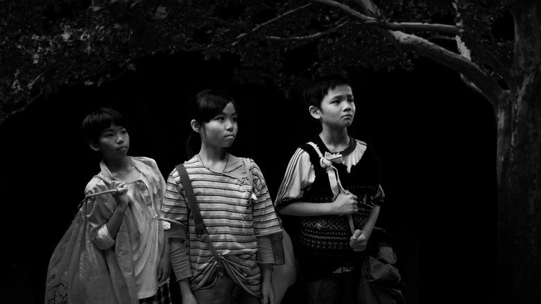 Remnants (2010)