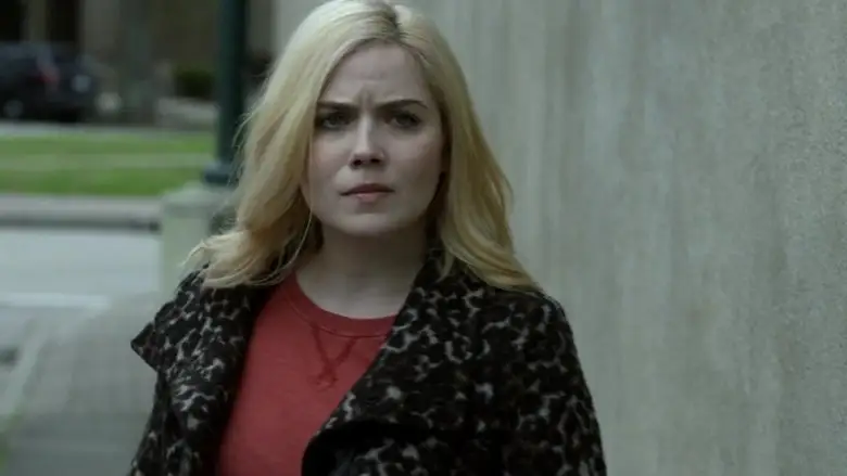 Stolen In Plain Sight (2020)