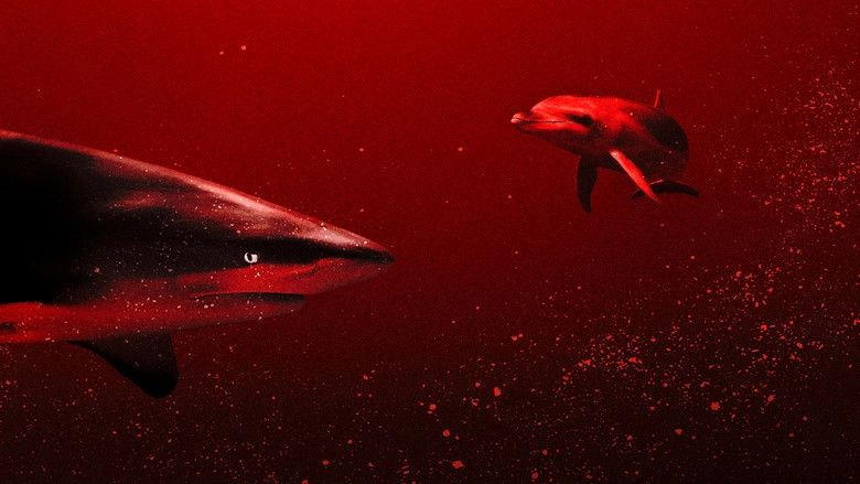 Sharks Vs. Dolphins: Blood Battle (2020)