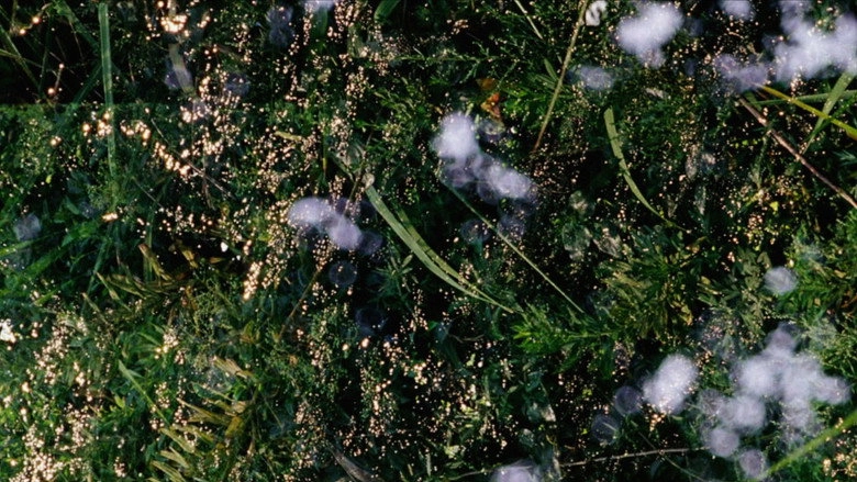 Still In Cosmos (2009)