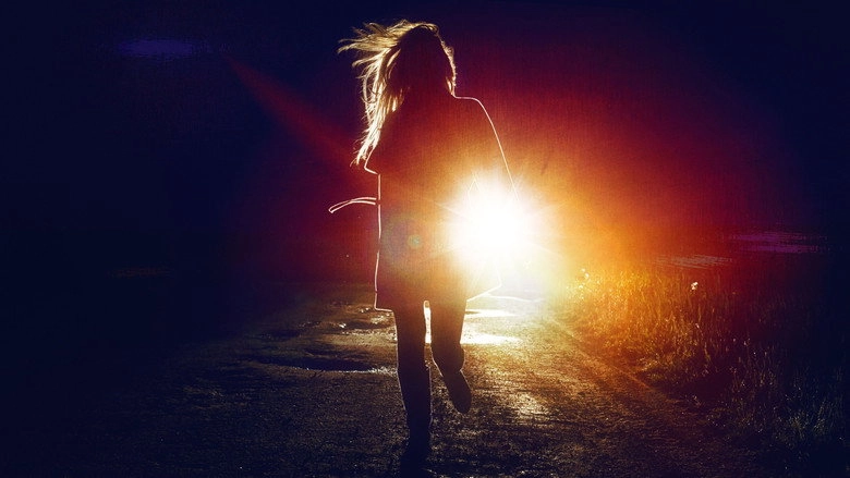Missing At 17 (2013)