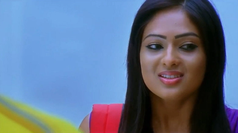 Varadanayaka (2013)