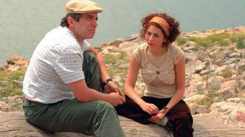 The Last Look (2011)