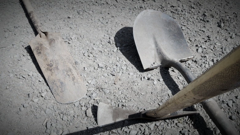 Soil! (2025)