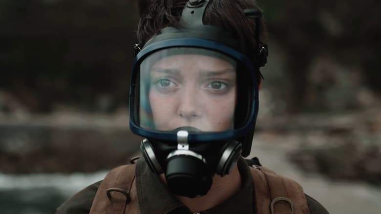 Onde Dormen As Gaivotas (2020)