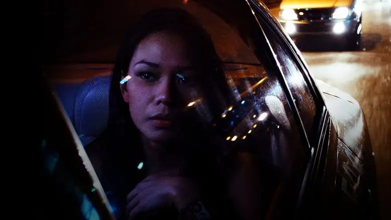 In The Absence Of The Sun (2014)