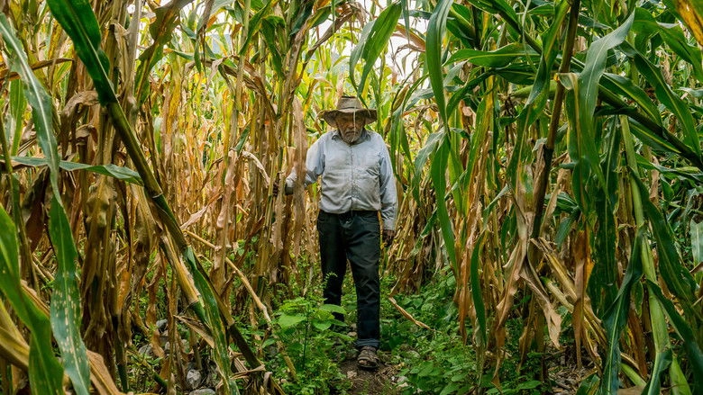 There In The Sky (2021)