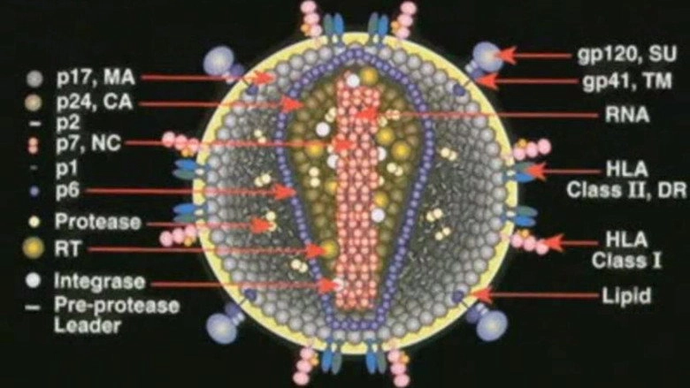 Deconstructing The Myth Of AIDS (2003)
