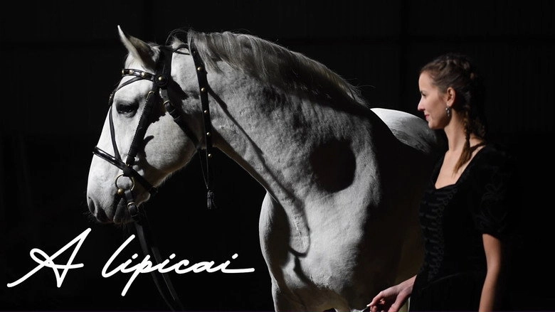 A Lipicai (2016)