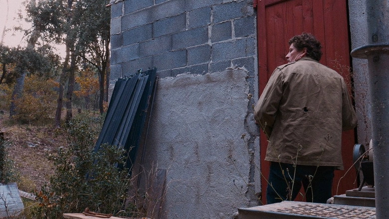 H.B. (2017)
