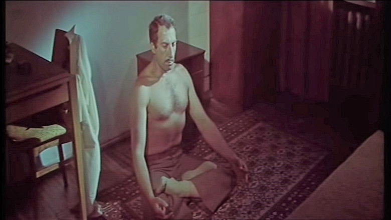 Bir Ailalik Bag Evi (1978)